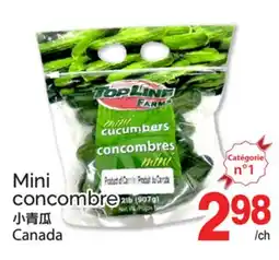 T&T Supermarket MINI CONCOMBRE offer
