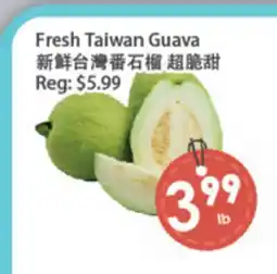 Fresh Palace Supermarket Fresh Taiwan Guava offer