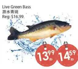 Fresh Palace Supermarket Live Green Bass offer