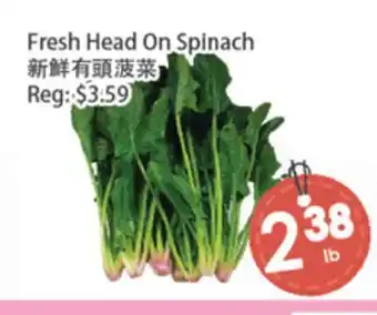Fresh Palace Supermarket Fresh Head On Spinach offer