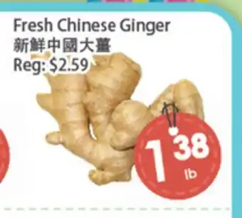 Fresh Palace Supermarket Fresh Chinese Ginger offer