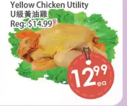 Fresh Palace Supermarket Yellow Chicken Utility offer
