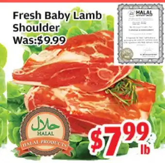 Top Food Supermarket Fresh Baby Lamb Shoulder offer