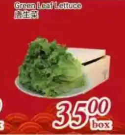 Tone Tai Supermarket Green Leaf Lettuce offer
