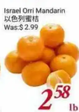 Tone Tai Supermarket Israel Orri Mandarin offer