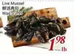 Tone Tai Supermarket Live Mussel offer