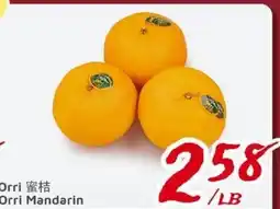United Supermarket Orri Mandarin offer