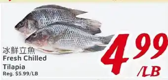 United Supermarket Fresh Chilled Tilapia offer