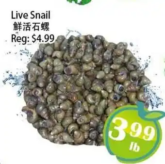 Food Depot Supermarket Live Snail offer