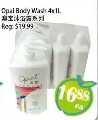 Food Depot Supermarket Opal Body Wash offer