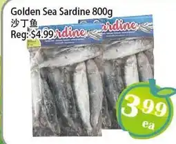 Food Depot Supermarket Golden Sea Sardine offer