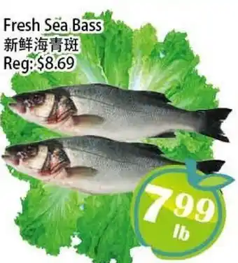 Food Depot Supermarket Fresh Sea Bass offer