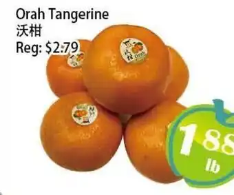 Food Depot Supermarket Orah Tangerine offer