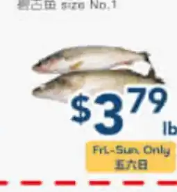 Oceans Fresh Food Market tako fish size No. 1 offer