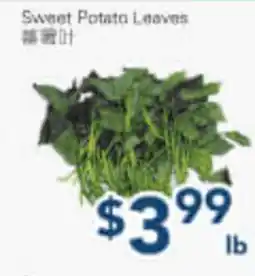 Oceans Fresh Food Market Sweet Potato Leaves offer