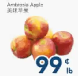 Oceans Fresh Food Market Ambrosia Apple offer