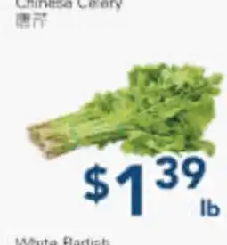 Oceans Fresh Food Market Chinese Celery offer