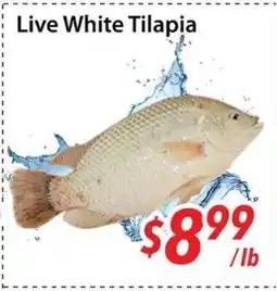 Bestco Food Mart Live White Tilapia offer
