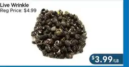 Blue Sky Supermarket Live Wrinkle offer