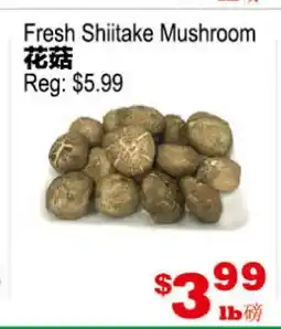 Yuan Ming Supermarket Fresh Shiitake Mushroom offer