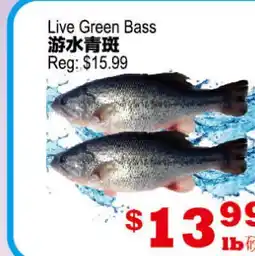 Yuan Ming Supermarket Live Green Bass offer