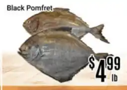Nations Fresh Foods Black Pomfret offer