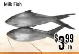 Nations Fresh Foods Milk Fish offer