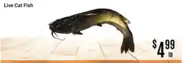 Nations Fresh Foods Live Cat Fish offer