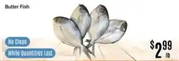 Nations Fresh Foods Butter Fish offer