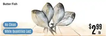 Nations Fresh Foods Butter Fish offer