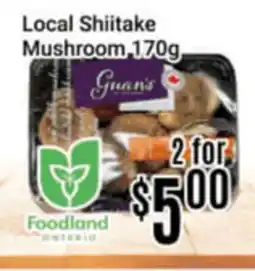 Nations Fresh Foods Local Shiitake Mushroom offer
