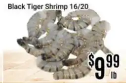 Nations Fresh Foods Black Tiger Shrimp 16/20 offer