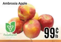Nations Fresh Foods Ambrosia Apple offer