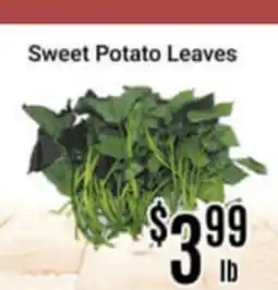 Nations Fresh Foods Sweet Potato Leaves offer