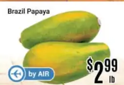 Nations Fresh Foods Brazil Papaya offer
