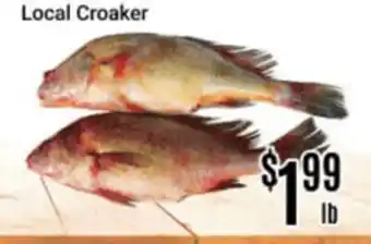 Nations Fresh Foods Local Croaker offer