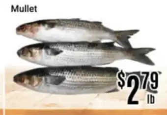 Nations Fresh Foods Mullet offer
