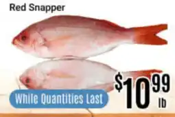 Nations Fresh Foods Red Snapper offer