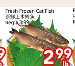 Superking Supermarket Fresh Frozen Cat Fish offer