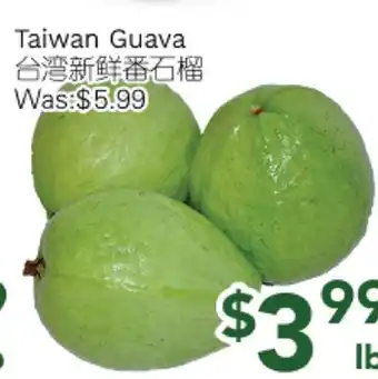 Ample Food Market Taiwan Guava offer
