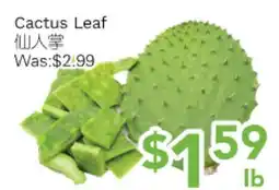 Ample Food Market Cactus Leaf offer