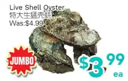 Ample Food Market Live Shell Oyster offer