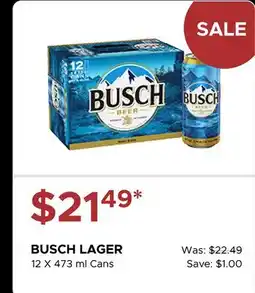 The Beer Store BUSCH LAGER offer