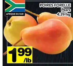 Supermarché PA POIRES FORELLE | Pears offer