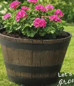 Giant Tiger barrel planter offer