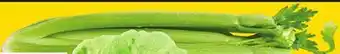 Giant Tiger Celery offer