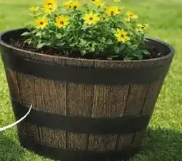 Giant Tiger Barrel planter offer