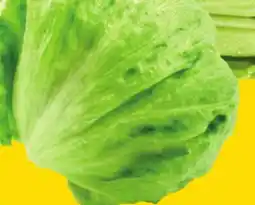 Giant Tiger Iceberg lettuce offer