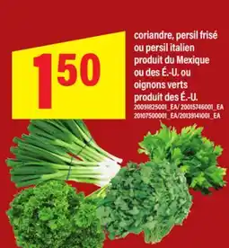 Maxi CORIANDRE, PERSIL FRISÉ OU PERSIL ITALIEN offer