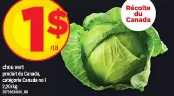 Maxi CHOU VERT offer